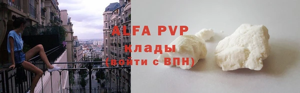 СК Дмитров