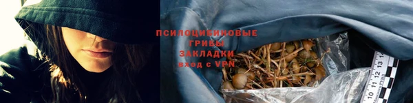 стаф Баксан