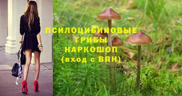 стаф Баксан