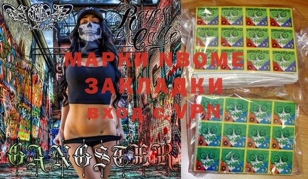 стаф Баксан