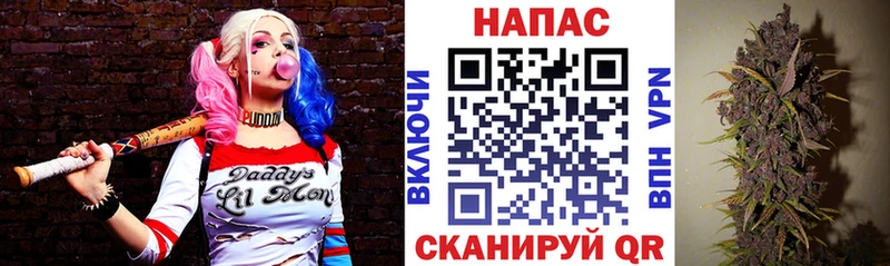 сколько стоит  Реутов  blacksprut ссылки  Каннабис сатива 